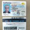 USA Fake Driving License Make