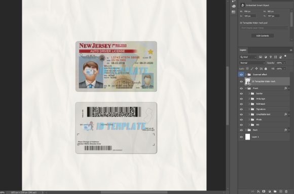 NJ Driving Licence Template
