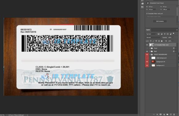 Pennsylvania Driving License PSD Template