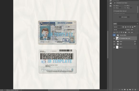 Pennsylvania Driving License PSD Template