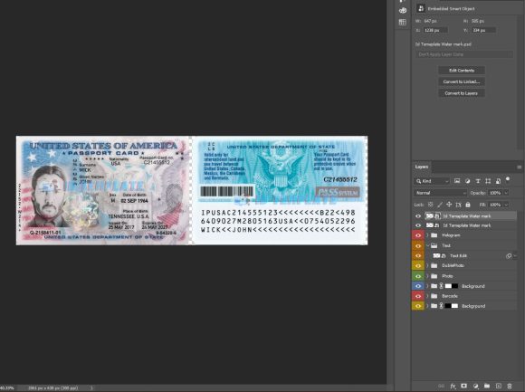 USA Passport ID Card Template