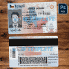 Texas Driving License Template