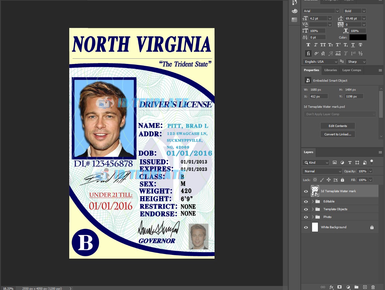 North Virginia Driving license Template