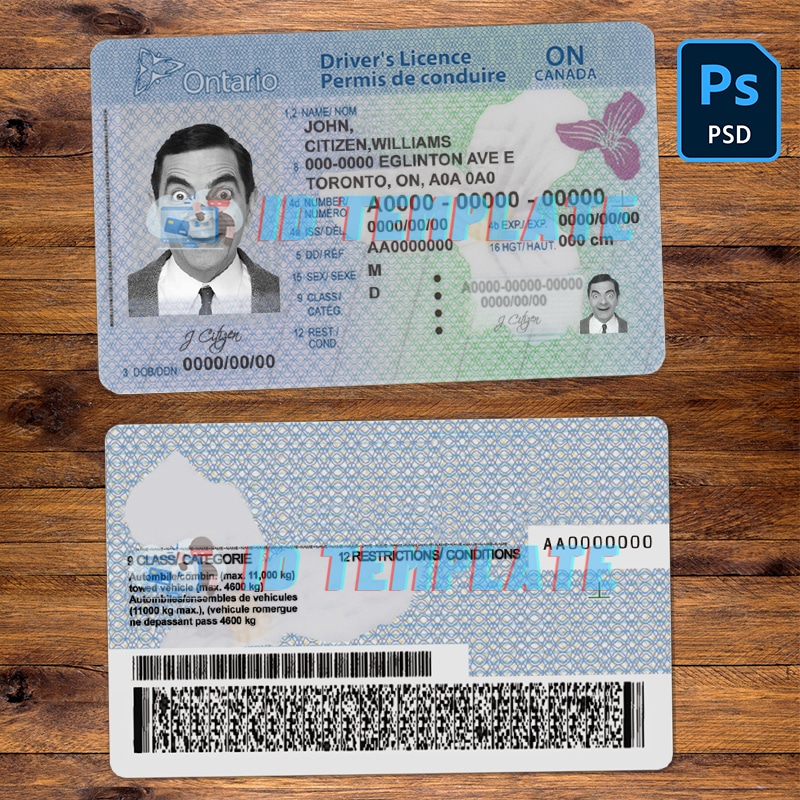 Ontario Driving license Template