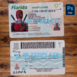 Florida Driving license Template