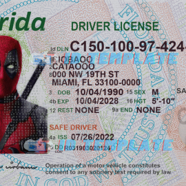 Florida Driving license Template