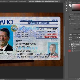 Idaho Driver license Template 1