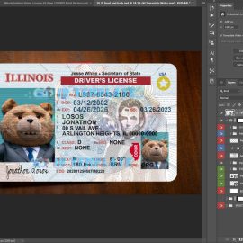 Illinois Driving license New 6