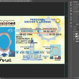 Louisiana Driving license New 8