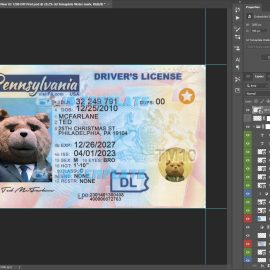Pennsylvania Driving License New 5
